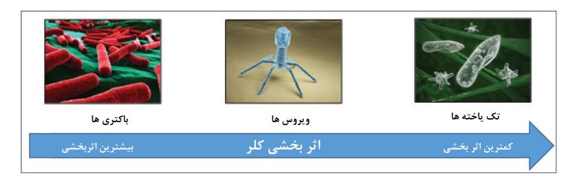 اثر بخشی کلر در برابر انواع میکرو ارگانیسم ها